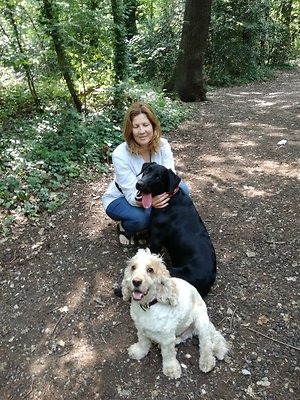 dog walker crystal palace